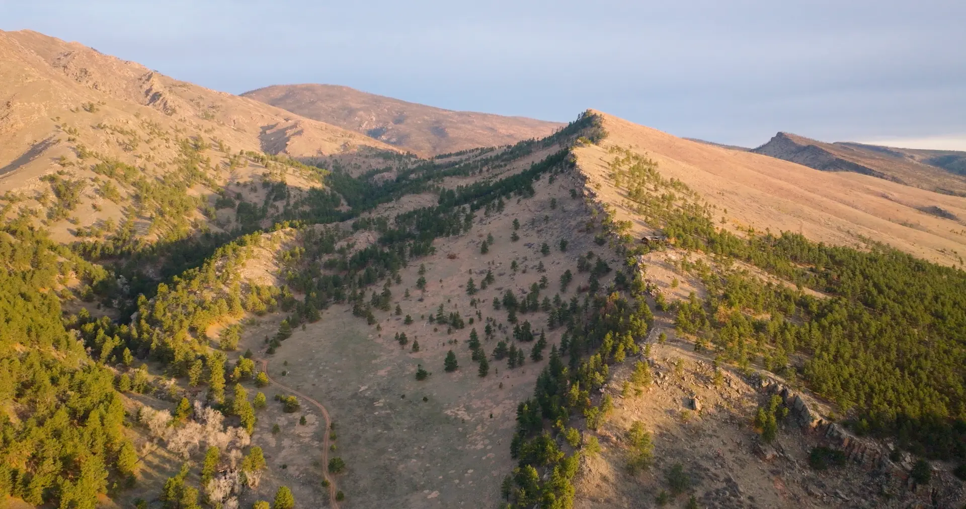 Mountain ridgeline with pine forest at sunset