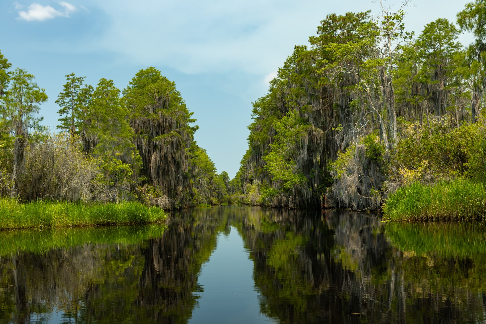 Calm waterway reflecting cypress trees draped in moss