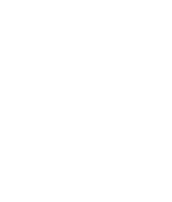 GreenTigre Logo